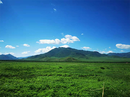 繁育基地